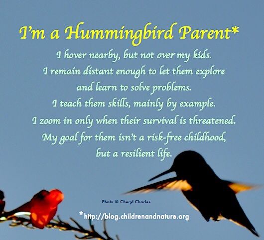 hummingbird-mum